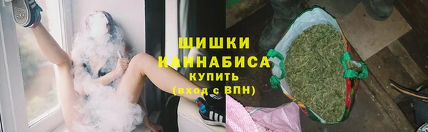 крисы Бикин