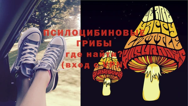 гашишное масло Новодвинск