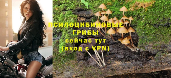 прущий лед Нея