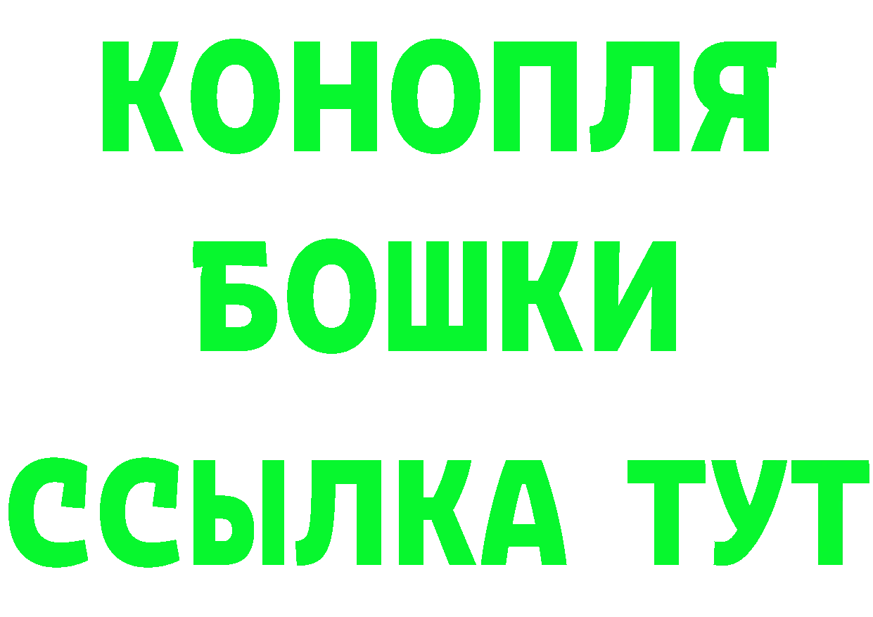 Alfa_PVP СК КРИС как войти маркетплейс MEGA Волгоград