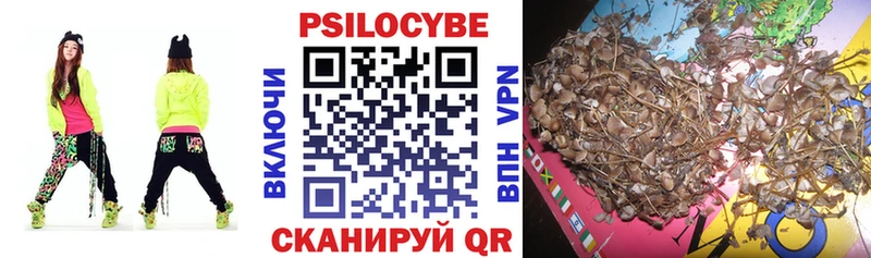 наркота  Волгоград  blacksprut зеркало  Галлюциногенные грибы ЛСД 
