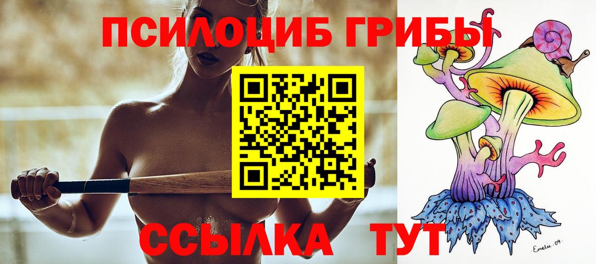 Псилоцибиновые грибы ЛСД Волгоград