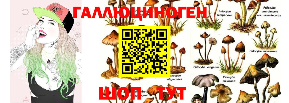 Псилоцибиновые грибы Cubensis  Галлюциногенные грибы мухоморы  Волгоград  Вход с VPN 